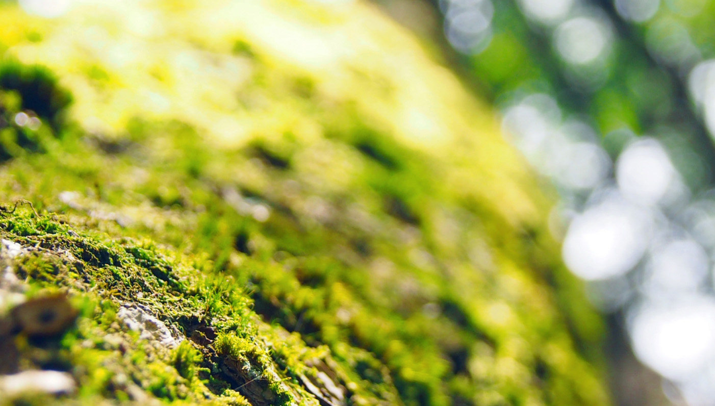 移動が自由に可能