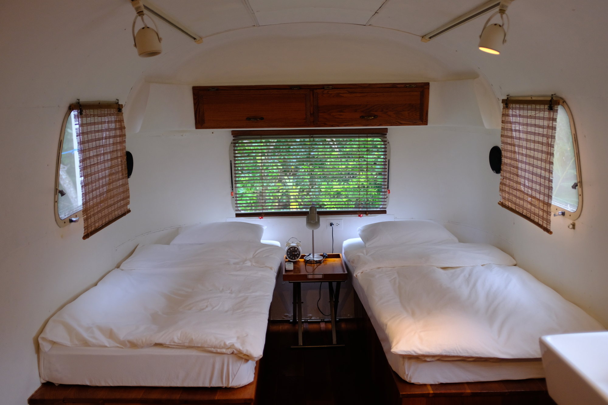 移動が自由に可能